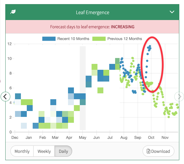 Leaf appearance model showing the 14-day forecast going awry 